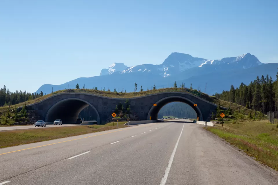 Trans-Canada Highway in Banff National Park